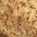 Dried Snow Fungus, White Fungus, Whole, Small Pieces, Powder